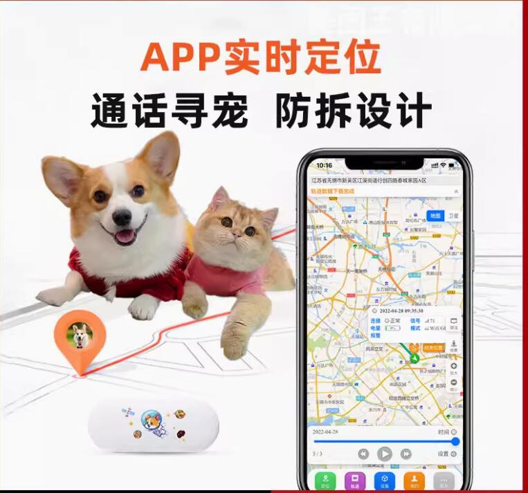 宠物智能环